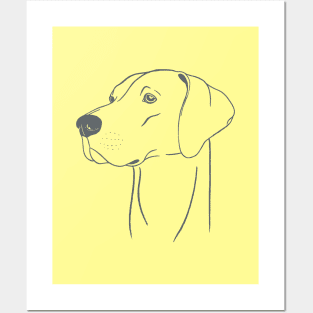 Weimaraner (Yellow and Grey) Posters and Art